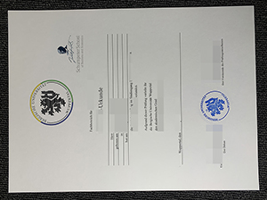 伍珀塔尔大学文凭-1