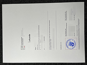 凯撒斯劳滕应用技术大学毕业证-1