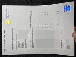 安格利亚鲁斯金大学成绩单-1