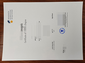 尼尔廷根应用技术大学成绩单-1