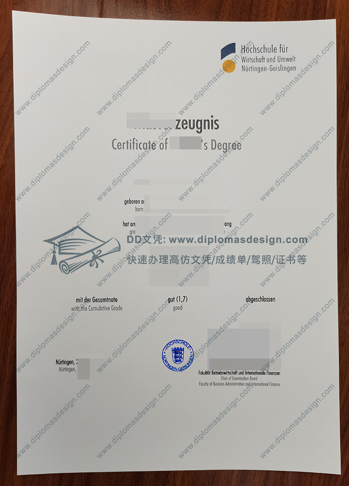 尼尔廷根应用技术大学成绩单
