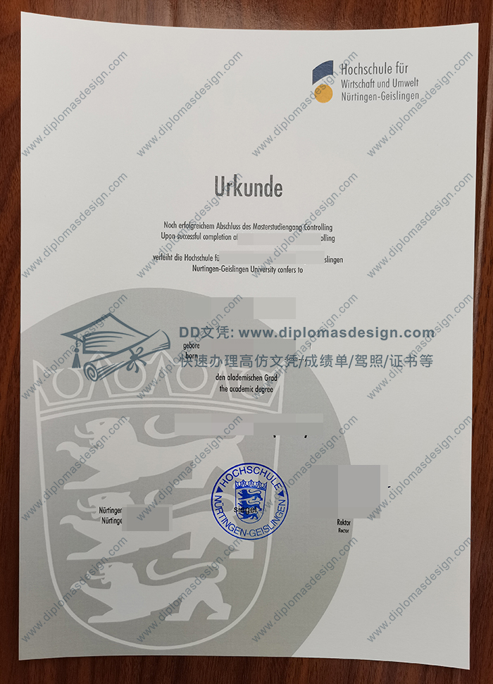 尼尔廷根应用技术大学文凭