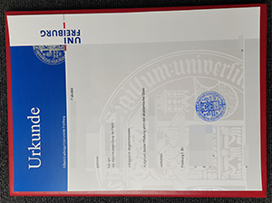 弗赖堡大学毕业证-1