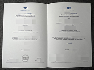 慕尼黑工业大学文凭-1