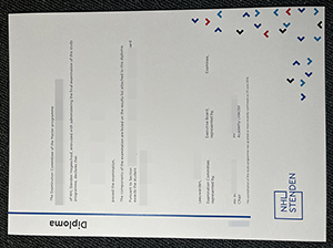 斯坦德大学文凭-1