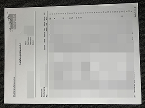 杜塞尔多夫大学成绩单-1