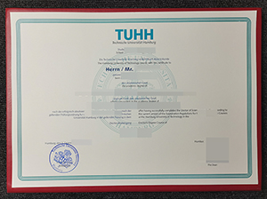 汉堡工业大学文凭-1