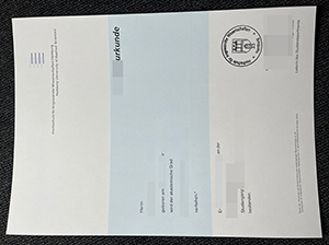 汉堡应用技术大学文凭-1