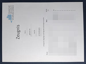 法兰克福应用科技大学成绩单-1