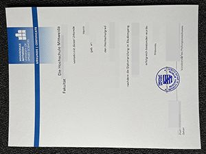 米特韦达应用技术大学文凭-1