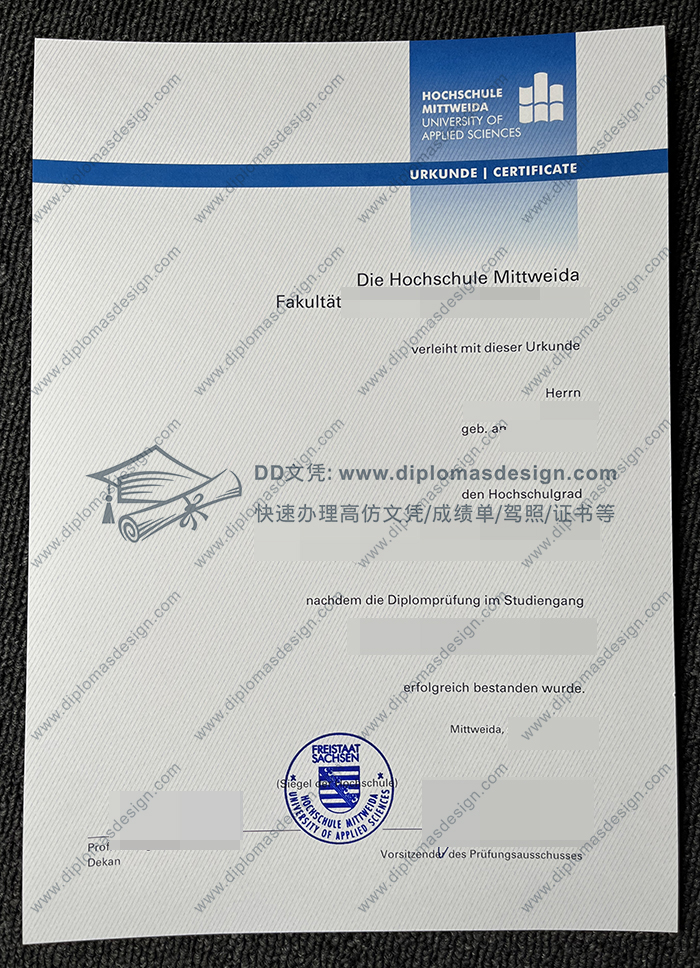 米特韦达应用技术大学文凭