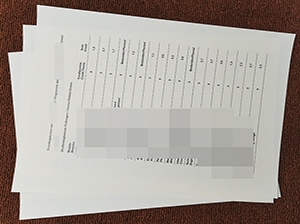 莱茵瓦尔应用技术大学成绩单-1