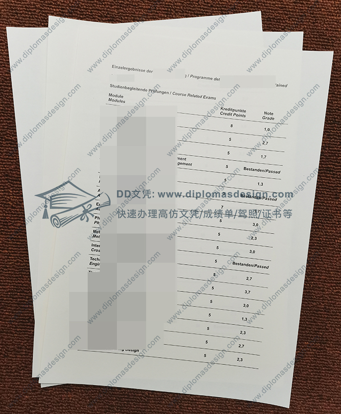 莱茵瓦尔应用技术大学成绩单