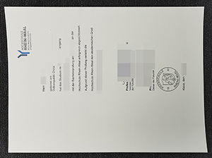 莱茵瓦尔应用技术大学毕业证-1
