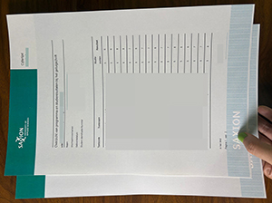萨克逊应用科学大学成绩单-1