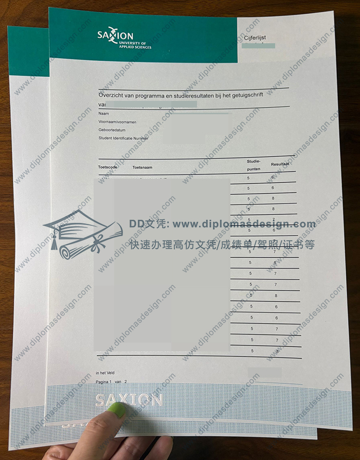 萨克逊应用科学大学成绩单