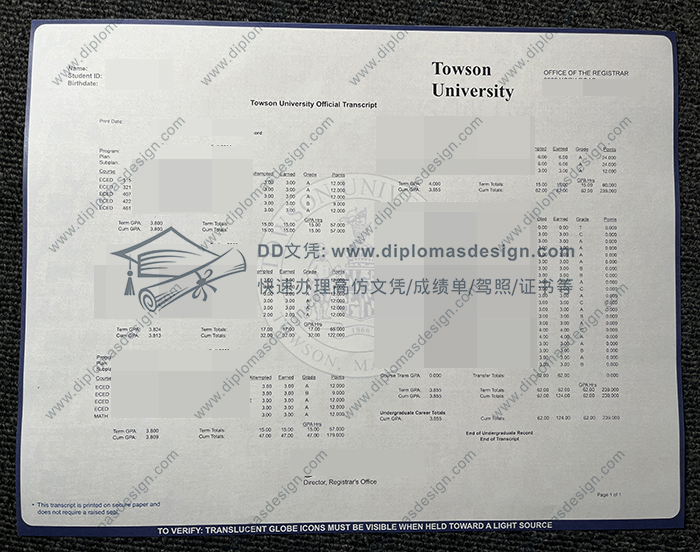 陶森大学成绩单