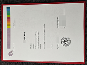 雷根斯堡大学毕业证-1