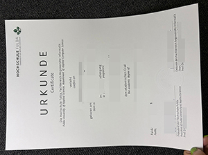 富尔达应用技术大学文凭-1