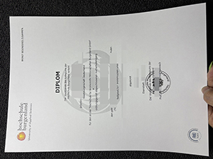 布尔根兰应用科学大学文凭-1