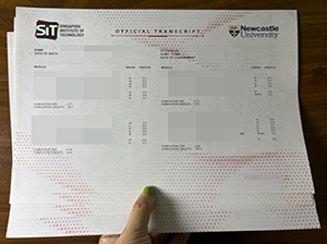 新加坡理工大学成绩单-1