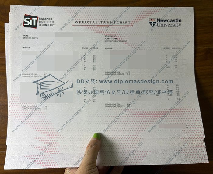 新加坡理工大学成绩单