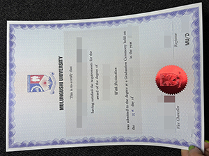 穆隆古希大学文凭-1
