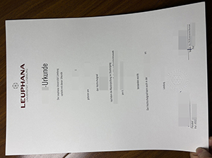 吕讷堡大学毕业证-1