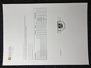 布尔根兰应用科学大学成绩单-1