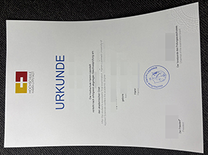 汉姆-利普斯塔特应用技术大学文凭-1