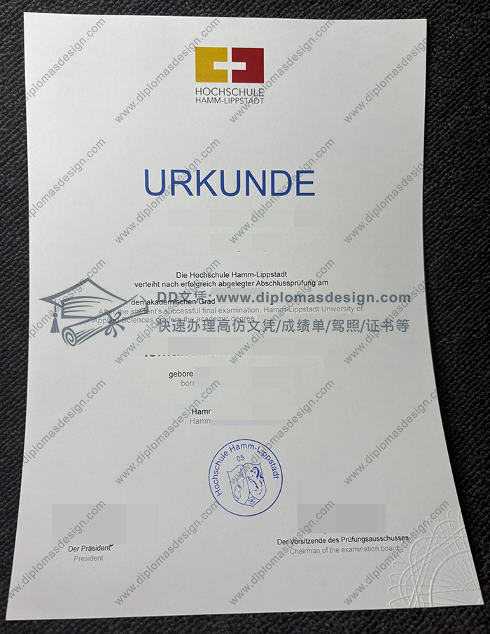 汉姆-利普斯塔特应用技术大学文凭