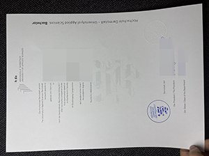 达姆施塔特高等专业学院文凭-1