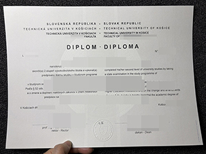 科希策技术大学文凭-1